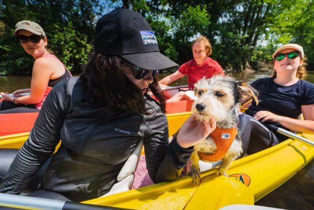 Kayak & Paddle sur la Meuse – Les Capitaineries de Namur