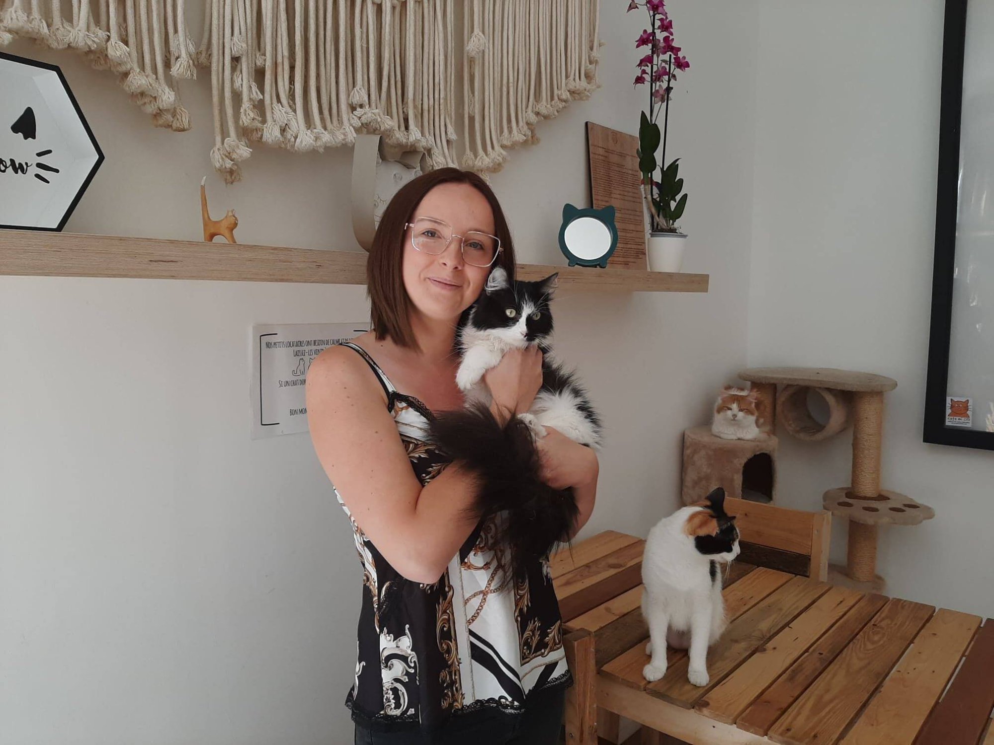 Chez Miss Miaouw bar à chats Namur