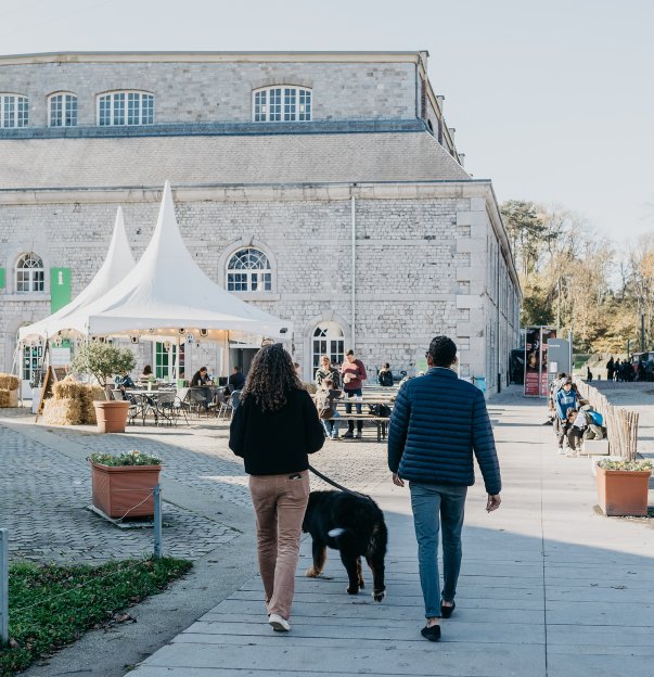 Concert live à Terra Nova – Dimanches Musicaux à la Citadelle de Namur